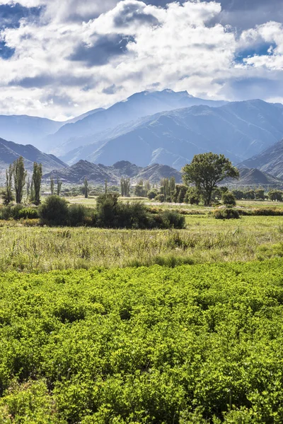 Cachi Adentro em Salta, norte da Argentina — Fotografia de Stock