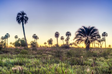 el palmar Milli Parkı, Arjantin Sunrise