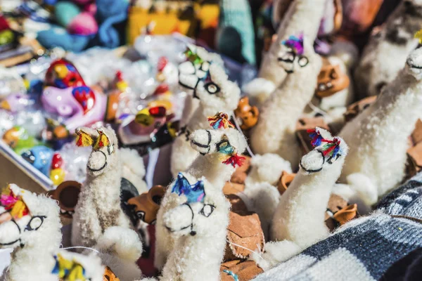 Wol Lamas in purmamarca, jujuy, Argentinië. — Stockfoto