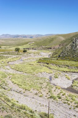 Condor, quebrada de humahuaca, jujuy, Arjantin