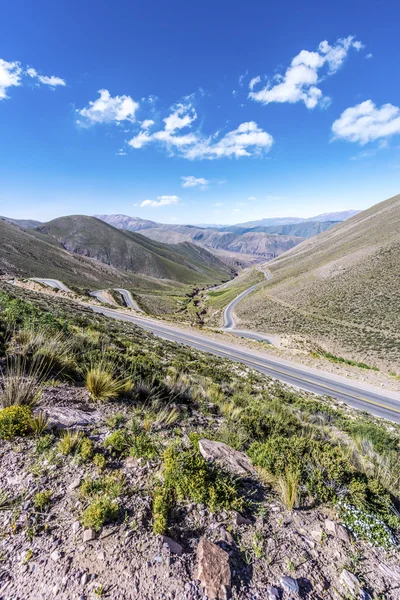 Potrerillo, quebrada de humahuaca, jujuy, Arjantin. — Stok fotoğraf