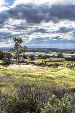 ünlü yol 40 Salta, Arjantin.