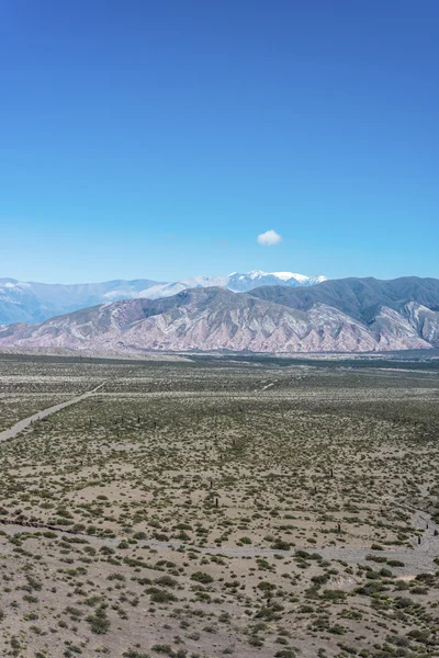 Los cardones národní park v salta, argentina. — Stock fotografie