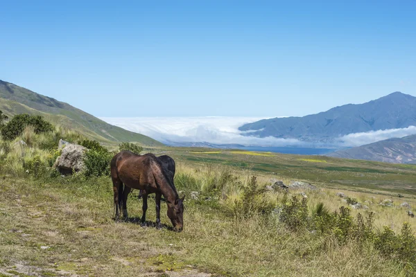 Tafi del Valle lake in Tucuman, Argentina. — Stock Photo, Image