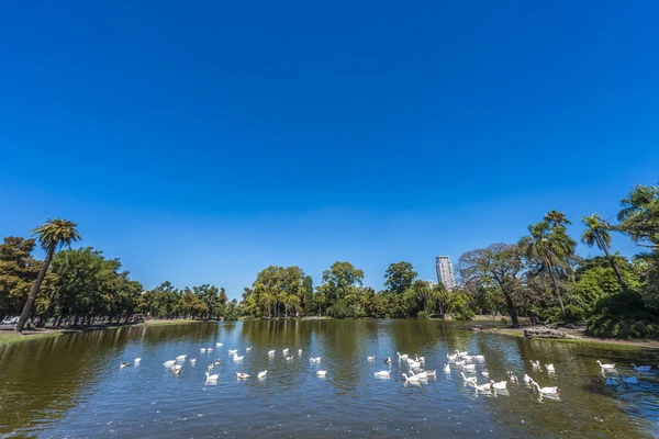 Palermo bossen in buenos aires, Argentinië. — Stockfoto