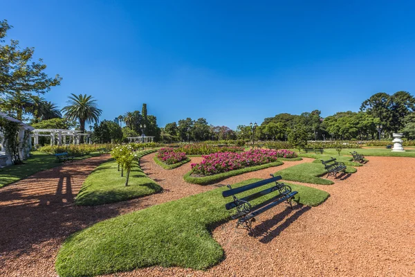 Rose Park em Palermo Woods em Buenos Aires . — Fotografia de Stock