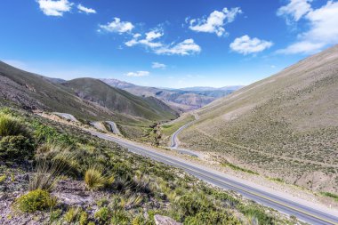 potrerillo, quebrada de humahuaca, jujuy, Arjantin.