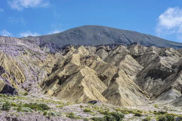 Cienaga, Quebrada de Humahuaca, Jujuy, Argentina. — Foto Stock