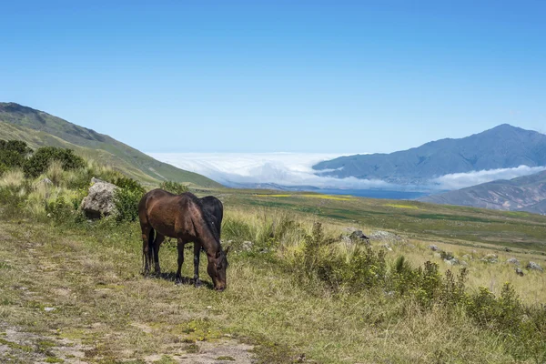 Tafi del Valle lake in Tucuman, Argentina. — Stock Photo, Image