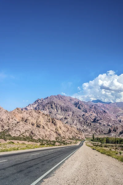 Lujan de cuyo in mendoza, Argentinië — Stockfoto