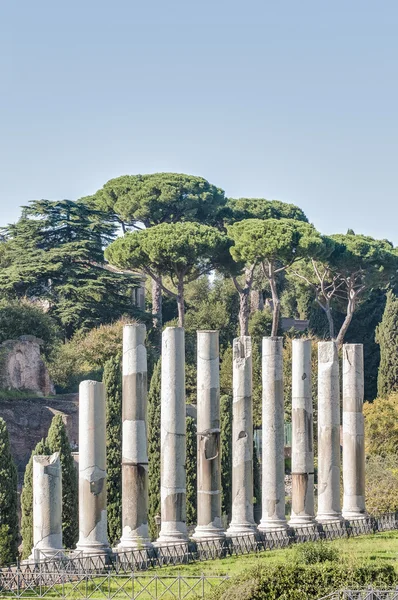 O Fórum Romano em Roma, Itália. — Fotografia de Stock