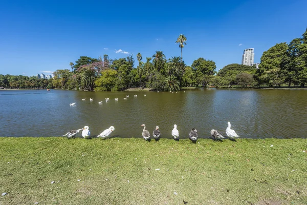 Palermo Wälder in buenos aires, Argentinien. — Stockfoto