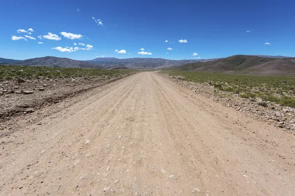 Cóndor, Quebrada de Humahuaca, Jujuy, Argentina — Foto de Stock