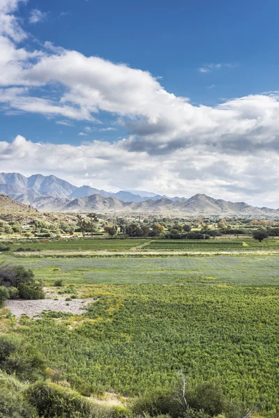 Ünlü yol 40 Salta, Arjantin. — Stok fotoğraf