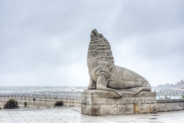 Sea Lion in Mar del Plata, Buenos Aires, Argentina clipart