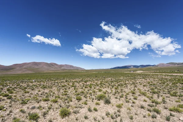 Condor, Quebrada de Humahuaca, Jujuy, Argentina — Foto Stock