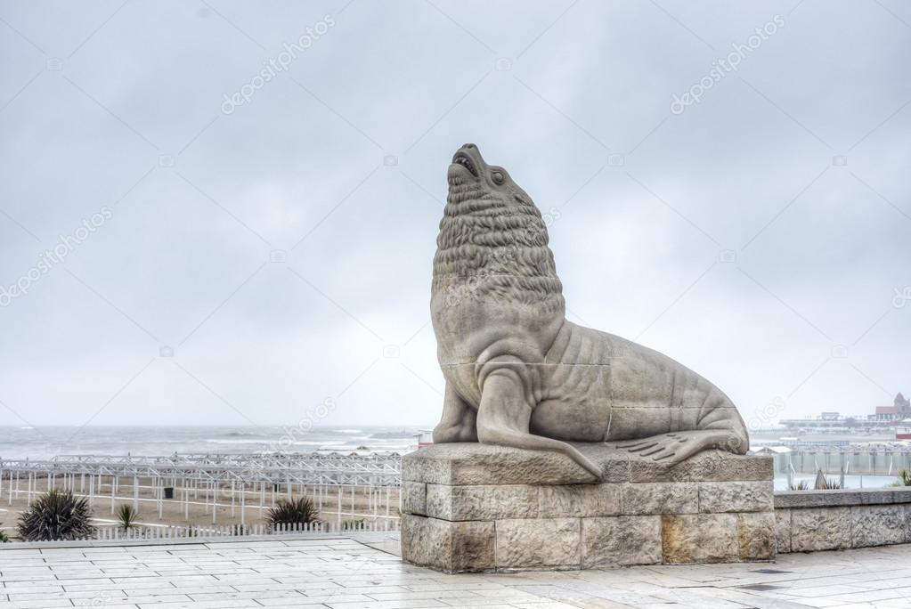 Sea Lion in Mar del Plata, Buenos Aires, Argentina