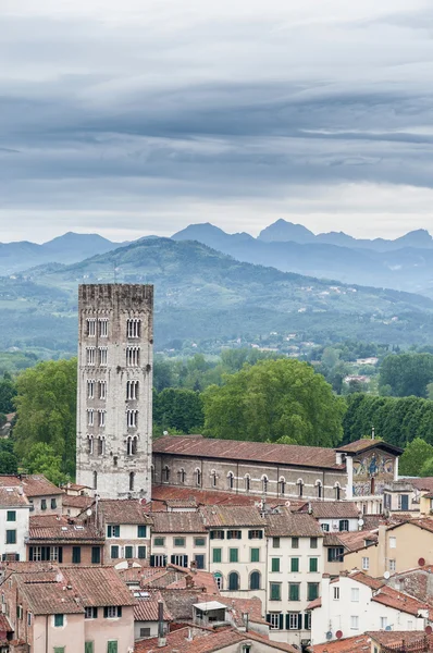 Basiliek van san frediano in lucca, Italië. — Stockfoto