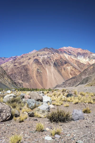 Lujan de cuyo w mendoza, Argentyna — Zdjęcie stockowe