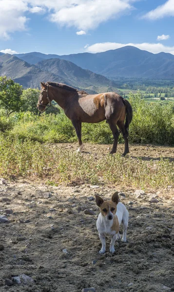 Cachi Adentro à Salta, nord de l'Argentine Images De Stock Libres De Droits