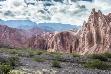 Quebrada de las conchas, salta, Kuzey Arjantin