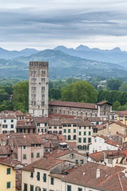 Basilica san frediano Lucca, İtalya.