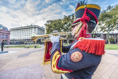 Horse Grenadiers in Buenos Aires, Argentina. clipart