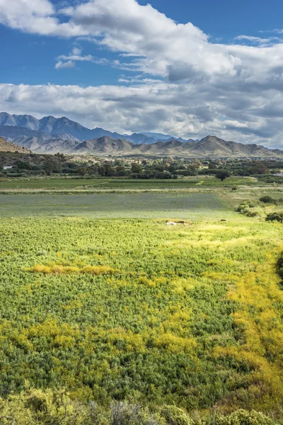 Beroemde route 40 in salta, Argentinië. — Stockfoto