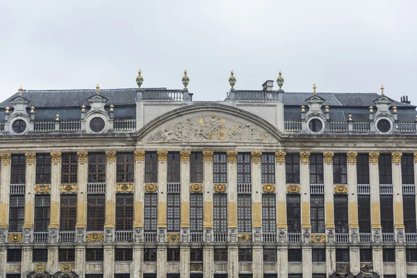 Guildhalls en Grand Place en Bruselas, Bélgica . —  Fotos de Stock