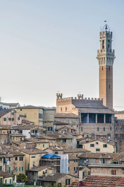 Nyilvános palota és mangia torony, Siena, Olaszország — Stock Fotó