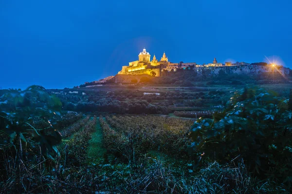 Saint paul kathedraal in mdina, malta — Stockfoto