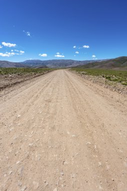 Condor, quebrada de humahuaca, jujuy, Arjantin