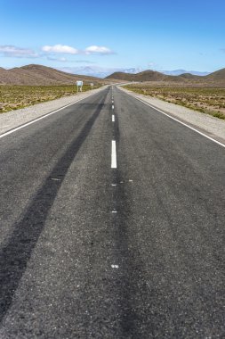 Los cardones Milli Parkı Salta, Arjantin.
