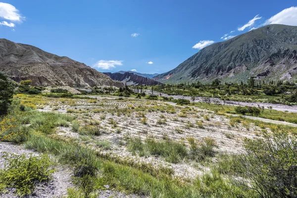 Cienaga, quebrada de humahuaca, jujuy, Argentinië. — Stockfoto