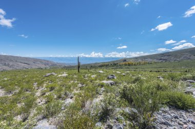 calchaqui Vadisi'nde tucuman, Arjantin