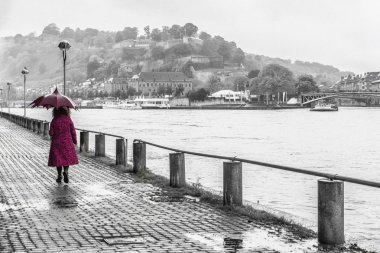 Meuse Nehri Namur, Belçika