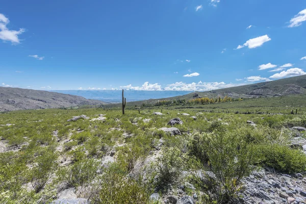 Calchaqui Valley in Tucuman, Argentina — Stock Photo, Image