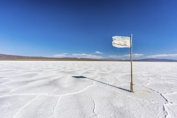 Flag on the Salinas Grandes in Jujuy, Argentina. — Stock Photo, Image