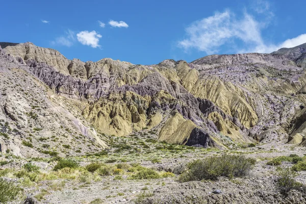 Cienaga, quebrada de humahuaca, jujuy, Argentyna. — Zdjęcie stockowe