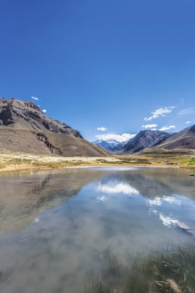 Aconcagua, dans les Andes à Mendoza, Argentine . — Photo