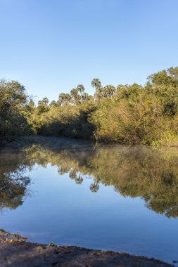 el palmar Milli Parkı, Arjantin avucunda