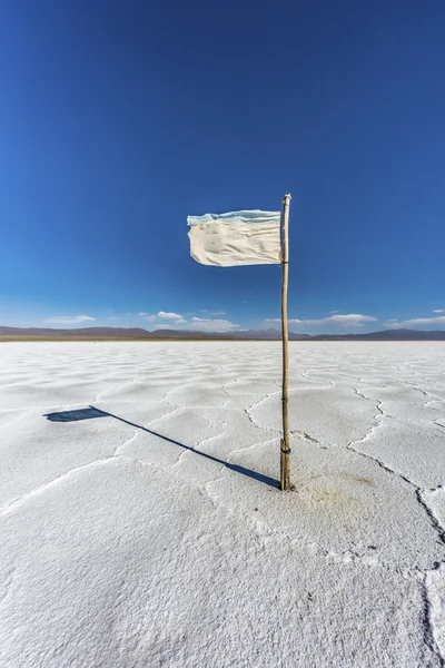 Flag on the Salinas Grandes in Jujuy, Argentina. — Stock Photo, Image