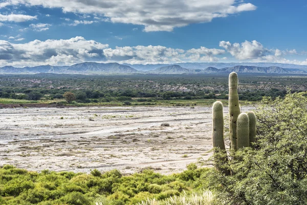 Famosa Ruta 40 en Salta, Argentina . —  Fotos de Stock