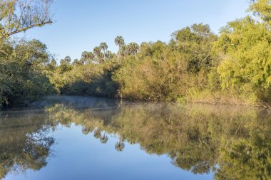 el palmar Milli Parkı, Arjantin avucunda