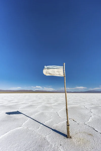 Flagge auf den salinas grandes in jujuy, argentina. — Stockfoto