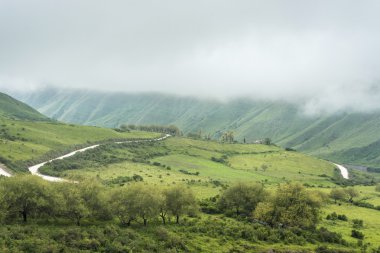 Piskopos yamaçta yol 40 salta, Arjantin.