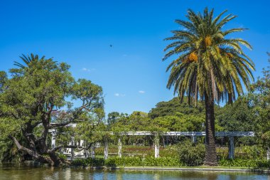 Palermo woods buenos aires, Arjantin.