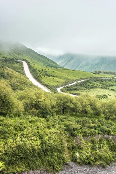 Bisschop helling op route 40 salta, Argentinië. — Stockfoto