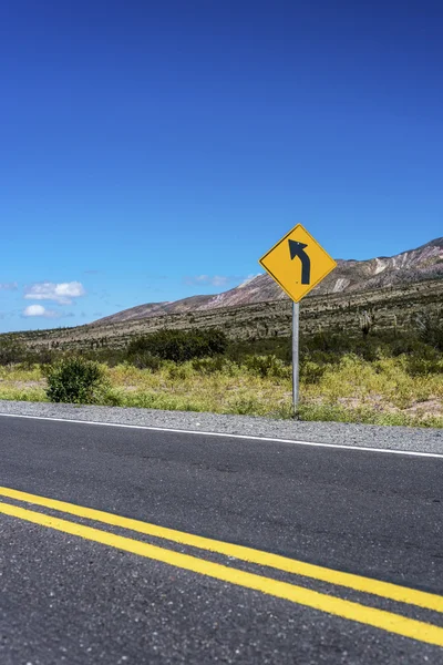 Los cardones nationalpark in salta, argentinien. — Stockfoto