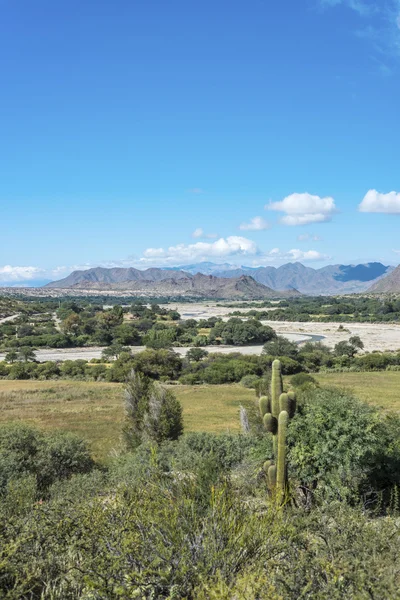 Famous Route 40 in Salta, Argentina. — Stock Photo, Image